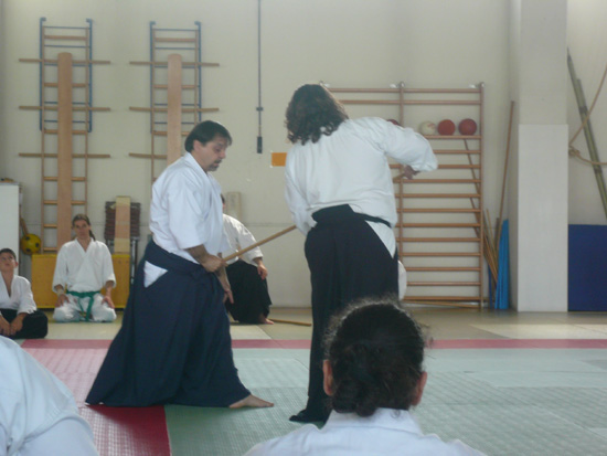 31/5/2008 - Stage Aikido
